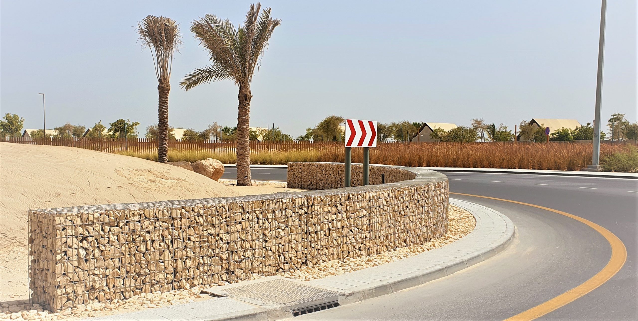 Copy of 20210621_144026 LS