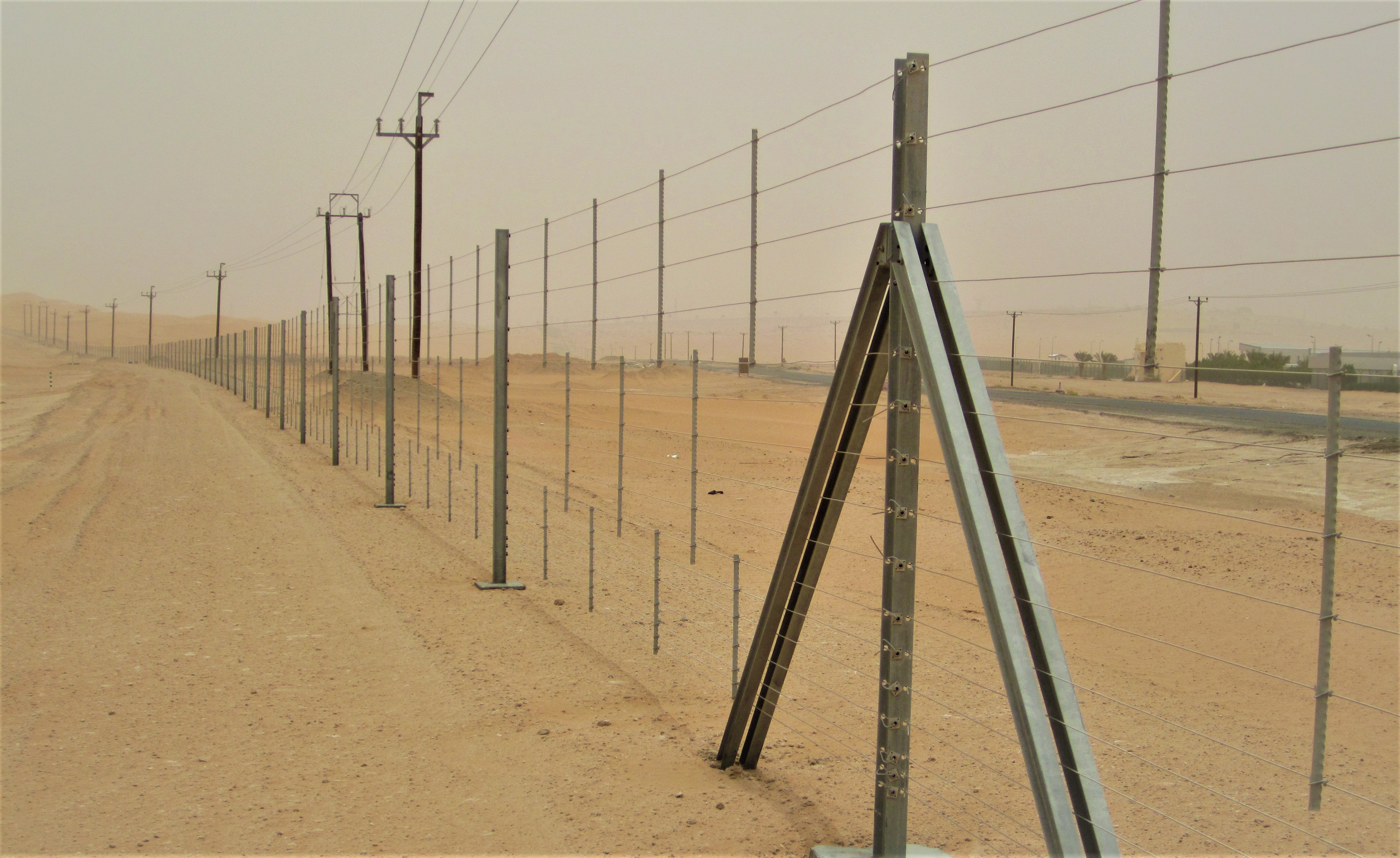 Sand Fence (3)
